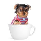 Camiseta para cães de estimação SZAT PRO, xícara de chá listrada, 100% algodão vermelho