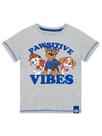 Camiseta Paw Patrol Boys Summer Clothes cinza tamanho 4 Camiseta Paw Patrol Boys Summer Clothes cinza tamanho 4