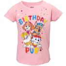 Camiseta Paw Patrol Skye Rubble Marshall para meninas 2T