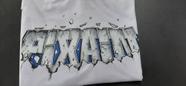 Camiseta pixaim Camiseta pixaim