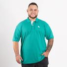 CAMISETA POLO MASCULINA PLUS SIZE ORIGINAL DA ESTILO REI 1UNI . br