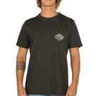 Camiseta Quiksilver Future Island WT25 Masculina Cinza