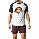 Camiseta Raglan Beagle no Ziper