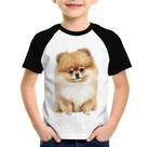 Camiseta Raglan Infantil Cachorro Spitz Alemão Lulu da pomerânia - Foca na Moda