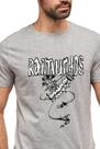 Camiseta Raimundos Sanfoneiro Oficial Licenciado Blusa Adulto Banda de Rock Unissex Of0166