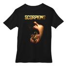 Camiseta Roqueiro Rock Banda Scorpins Estampa Dtf Premium
