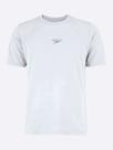 Camiseta Speedo Basic Interlock