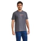 Camiseta T-shirt Masculina Regular Estampada Grafite TXC Original