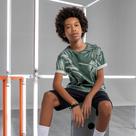 Camiseta Teen Masculina Lemon Meia Malha