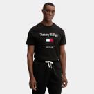 Camiseta Tommy Hilfiger Embro Flag Tee