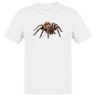Camiseta Unissex Aranha Caranguejeira Camiseta Unissex Aranha Caranguejeira
