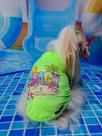 Camiseta Verde Neon com Proteção UV para cachorro e gato