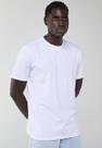 Camiseta Volcom Vlts010615 Branca