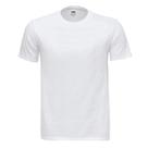 Camisetas Básicas - Adulto Camisetas Básicas - Adulto