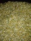 Camomila Para Chá 500g Camomila Para Chá 500g