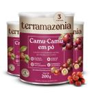 CamuCamu em Pó Terramazonia Fonte de Vitamina C e Antioxidantes Rico em Fibras Vegano 200g CamuCamu em Pó Terramazonia Fonte de Vitamina C e Antioxidantes Rico em Fibras Vegano 200g