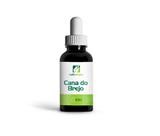 Cana do Brejo
