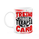 Caneca Fitness Academia - Treino pq terapira tá caro