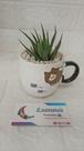 Caneca Gato Alto Relevo (sem planta)