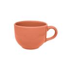 Caneca Jumbo Salmão 740ml Oxford Biona