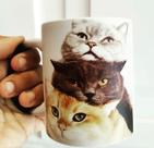 Caneca Mágica Tema Gatos