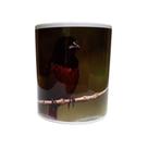 Caneca Personalizada - Curió 2º Modelo Caneca Personalizada - Curió 2º Modelo