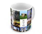 Caneca Pink Floyd Discografia