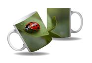 Caneca Presente Insetos Fofos Joaninhas Pintinhas Folhas HD