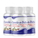 Canela De Ve lho kit 3 Frascos de 120 Caps 360 Cápsulas 500mg