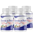 Canela kit composta 4 frascos x 120 cápsulas 500mg Ga rra Su cupira 480 cápsulas Canela kit composta 4 frascos x 120 cápsulas 500mg Ga rra Su cupira 480 cápsulas
