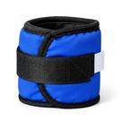 Caneleira de Peso 500g Azul (Unidade) - Musculação, Fisioterapia e Exercícios