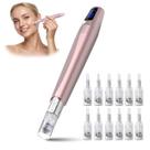Caneta de microagulhamento Derma Roller Pen 0,25 mm com 12 cartuchos