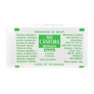Cânfora chinesa 8un - bravir - tablete