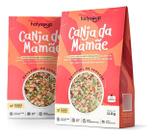 Canja da Mamãe Sopa Sem Glúten e 100% Natural HolySoup - 110g