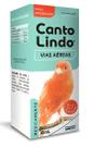 Canto Lindo Vias Aéreas 20ml - Simões