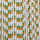 Canudo de Papel Abacaxi 6mmx200mm - 4353 - 20 unidades Canudo de Papel Abacaxi 6mmx200mm - 4353 - 20 unidades
