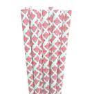 Canudo de Papel Renda Rosa c/20 - Silver Festas - Silverplastic Canudo de Papel Renda Rosa c/20 - Silver Festas - Silverplastic