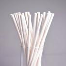 Canudos de Papel Biodegradáveis, 8mm, Branco, com 100 Unidades Canudos de Papel Biodegradáveis, 8mm, Branco, com 100 Unidades