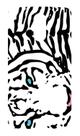 Capa Adesivo Skin047 Verso Para LG K10 Pro
