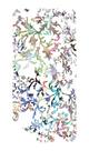 Capa Adesivo Skin106 Verso Para Asus Zenfone 4 Capa Adesivo Skin106 Verso Para Asus Zenfone 4