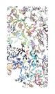 Capa Adesivo Skin106 Verso Para Huawei Mate 10 2017 Capa Adesivo Skin106 Verso Para Huawei Mate 10 2017
