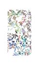 Capa Adesivo Skin106 Verso Para Nokia Lumia 530 Capa Adesivo Skin106 Verso Para Nokia Lumia 530