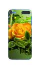 Capa Adesivo Skin369 Verso Para iPod Toch 6ª Geração (2015)