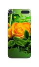 Capa Adesivo Skin369 Verso Para iPod touch (7ª geração) Capa Adesivo Skin369 Verso Para iPod touch (7ª geração)