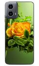 Capa Adesivo Skin369 Verso Para Motorola Moto G34 5G