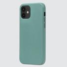 Capa Biodegradável iPhone 12 pro max vde
