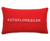 Capa de Almofada Marcela Scheid Autoflorescer Vermelha