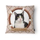 Capa de Almofada Veludo 43x43cm American Shorthair Capa de Almofada Veludo 43x43cm American Shorthair