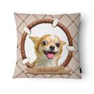 Capa de Almofada Veludo 43x43cm Chihuahua Capa de Almofada Veludo 43x43cm Chihuahua