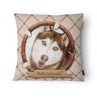 Capa de Almofada Veludo 43x43cm Husky Siberiano Marrom